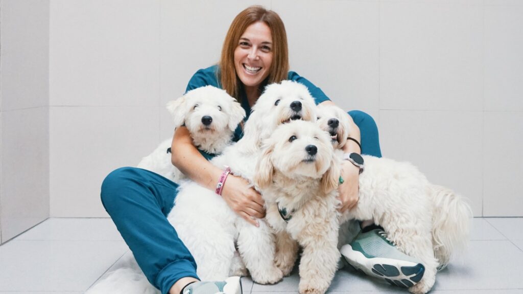Equipo Veterinario Cullera