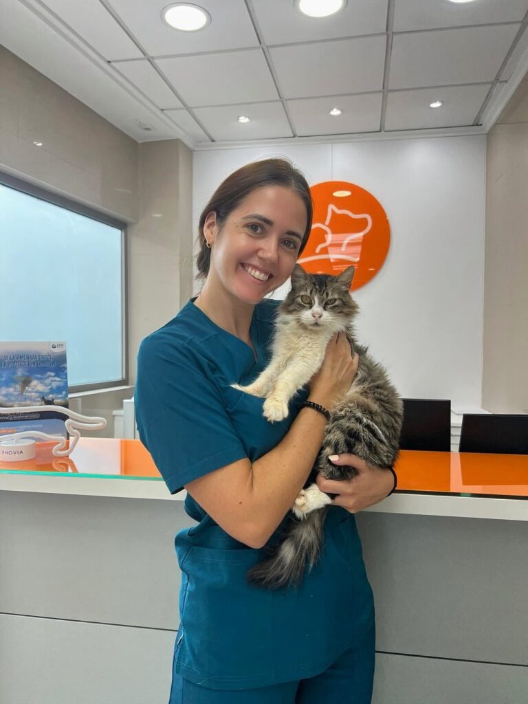 Clinica Veterinaria Cullera
