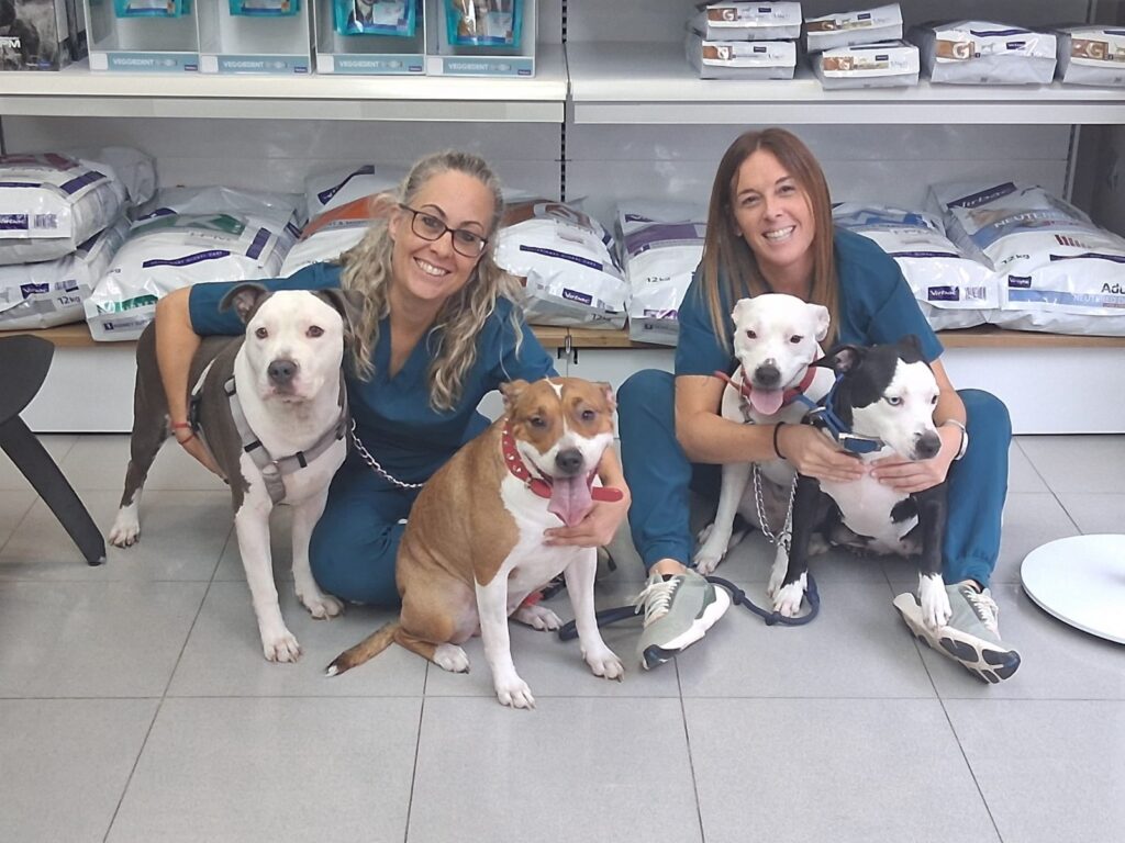Clinica Veterinaria Cullera
