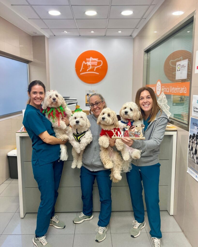 Equipo Veterinario Cullera Equipo Veterinario Cullera